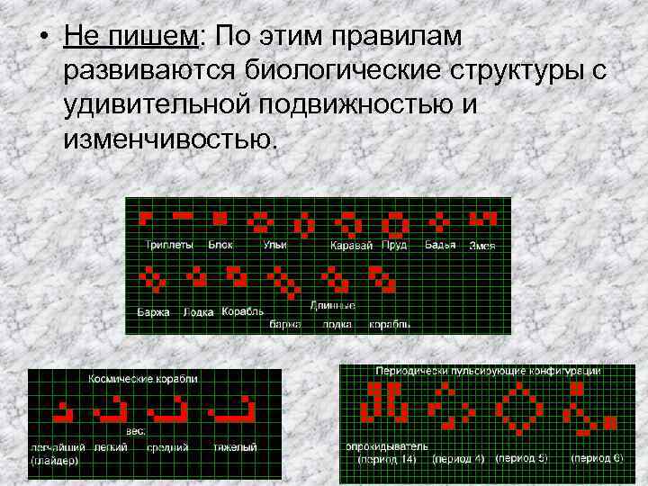  • Не пишем: По этим правилам развиваются биологические структуры с удивительной подвижностью и