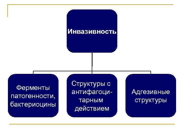 Инвазивность Ферменты патогенности, бактериоцины Структуры с антифагоцитарным действием Адгезивные структуры 