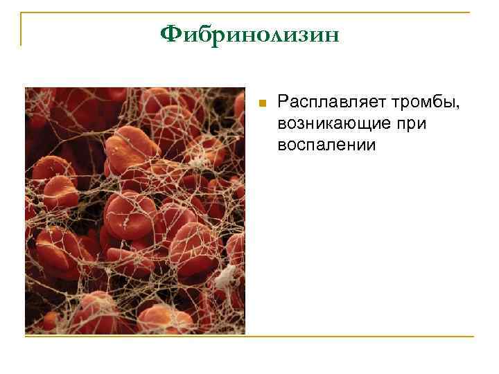 Фибринолизин n Расплавляет тромбы, возникающие при воспалении 