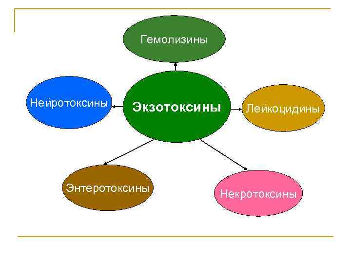 Гемолизины Нейротоксины Экзотоксины Энтеротоксины Лейкоцидины Некротоксины 
