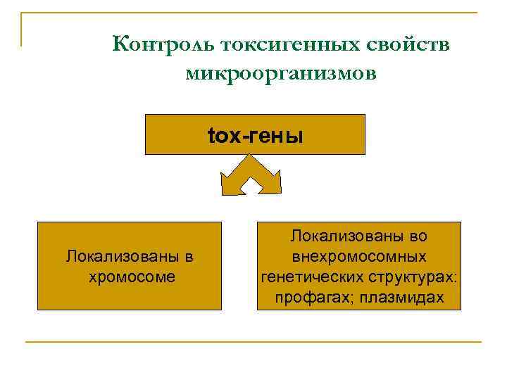 Контроль токсигенных свойств микроорганизмов tox-гены Локализованы в хромосоме Локализованы во внехромосомных генетических структурах: профагах;