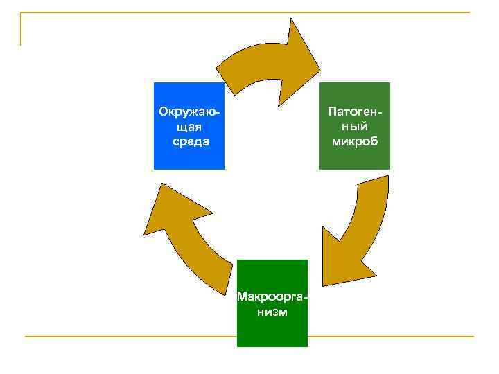 Патогенный микроб Окружающая среда Макроорганизм 