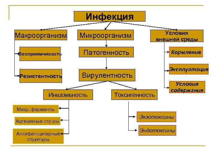 Инфекция Макроорганизм Восприимчивость Условия внешней среды Микроорганизм Патогенность Резистентность Кормление Эксплуатация Вирулентность Инвазивность Токсигенность