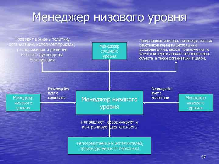 Менеджер низового уровня Проводит в жизнь политику организации, исполняет приказы, распоряжения и решения высшего