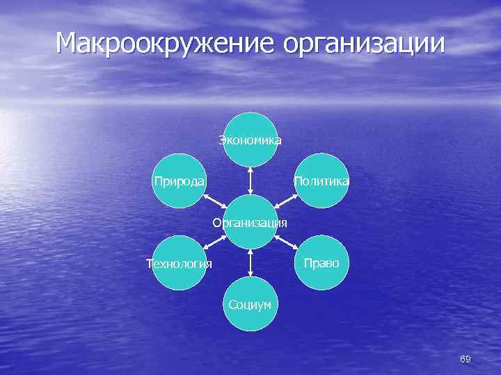 Организация в природе и обществе