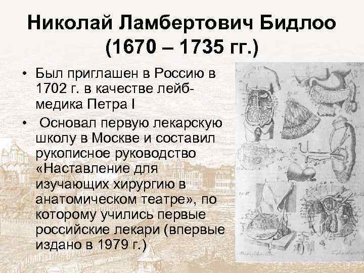 Николай Ламбертович Бидлоо (1670 – 1735 гг. ) • Был приглашен в Россию в