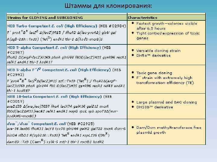 Штаммы для клонирования: 