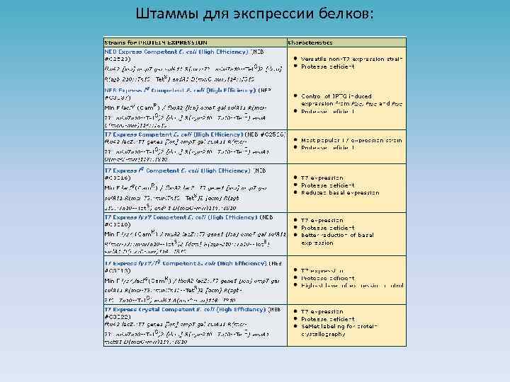 Штаммы для экспрессии белков: 