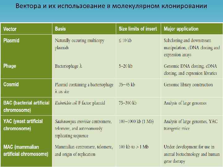 Вектора и их использование в молекулярном клонировании 