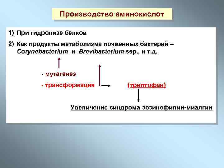 Производство аминокислот 1) При гидролизе белков 2) Как продукты метаболизма почвенных бактерий – Corynebacterium