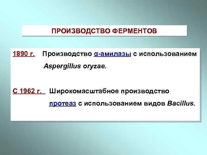 ПРОИЗВОДСТВО ФЕРМЕНТОВ 1890 г. Производство α-амилазы с использованием Aspergillus oryzae. C 1962 г. Широкомасштабное