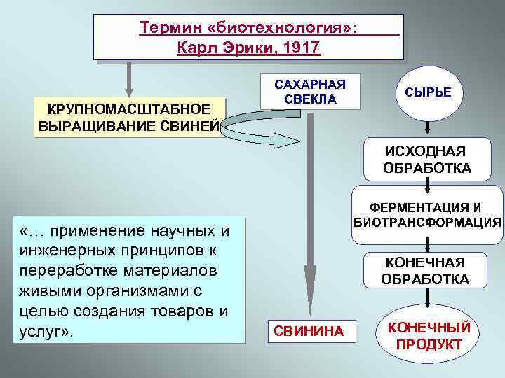 Термин «биотехнология» : Карл Эрики, 1917 КРУПНОМАСШТАБНОЕ ВЫРАЩИВАНИЕ СВИНЕЙ САХАРНАЯ СВЕКЛА СЫРЬЕ ИСХОДНАЯ ОБРАБОТКА