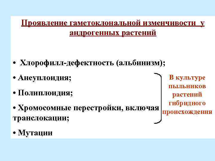 Проявление гаметоклональной изменчивости у андрогенных растений • Хлорофилл-дефектность (альбинизм); • Анеуплоидия; В культуре пыльников