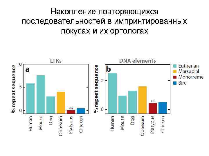 Накопление повторяющихся последовательностей в импринтированных локусах и их ортологах 