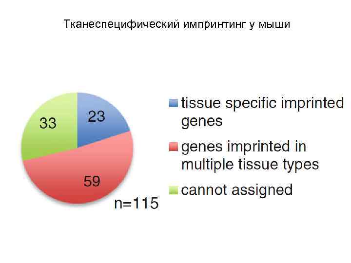 Тканеспецифический импринтинг у мыши 