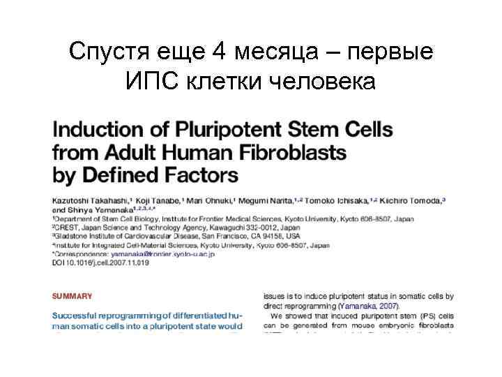 Спустя еще 4 месяца – первые ИПС клетки человека 