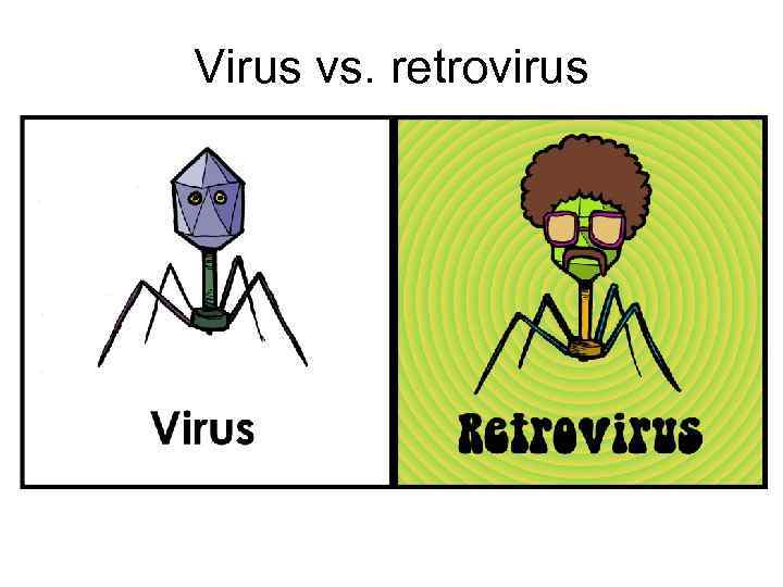 Virus vs. retrovirus 