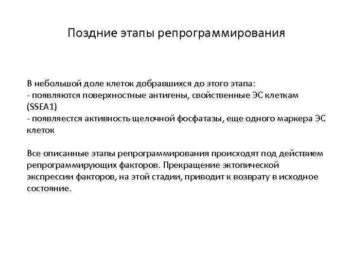 Поздние этапы репрограммирования В небольшой доле клеток добравшихся до этого этапа: - появляются поверхностные