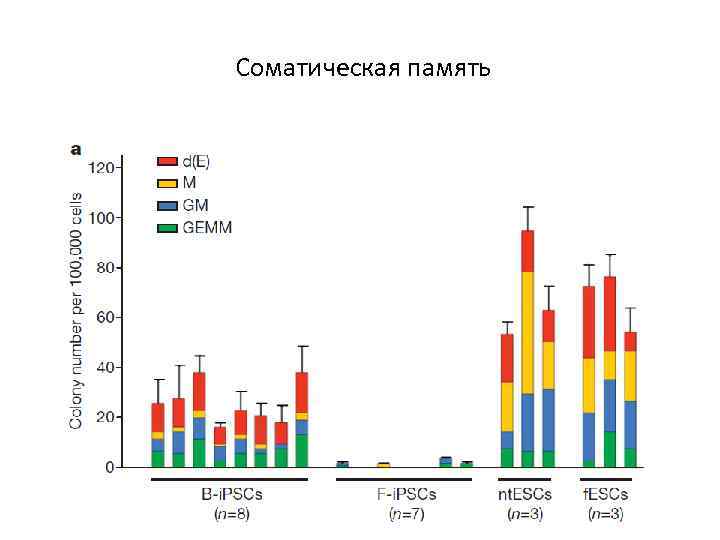 Соматическая память 