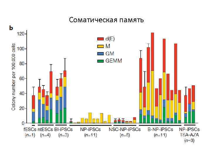 Соматическая память 