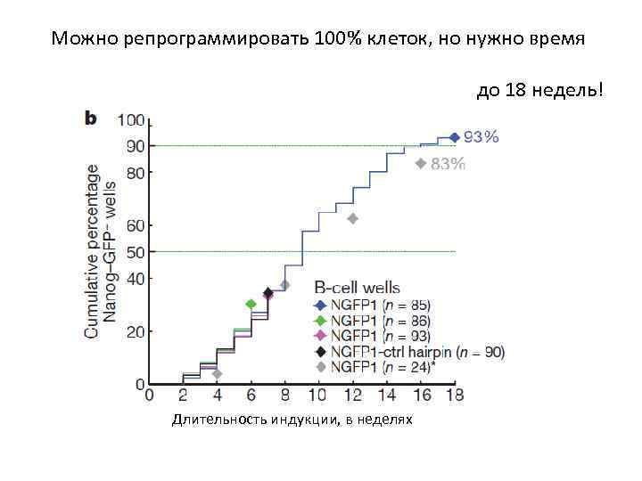 Можно репрограммировать 100% клеток, но нужно время до 18 недель! Длительность индукции, в неделях