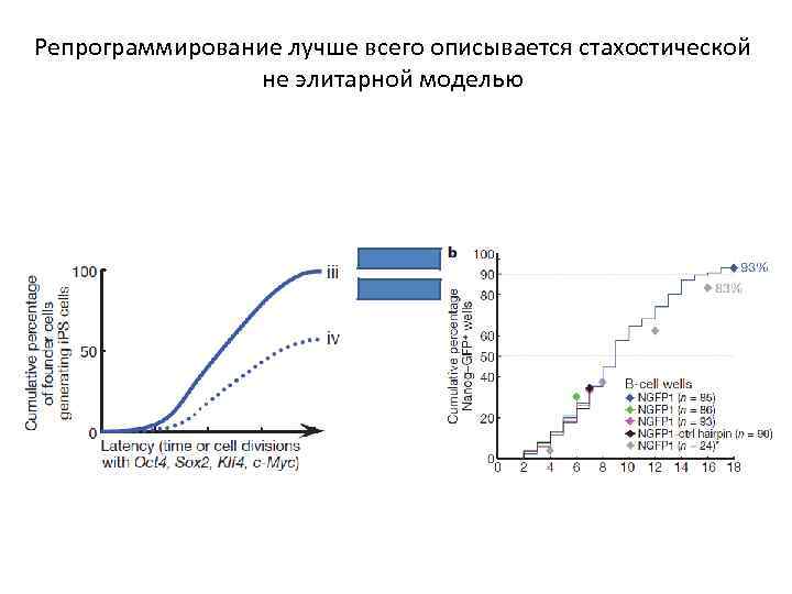 Репрограммирование лучше всего описывается стахостической не элитарной моделью 