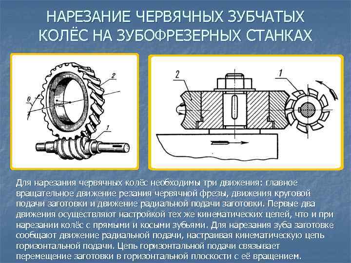НАРЕЗАНИЕ ЧЕРВЯЧНЫХ ЗУБЧАТЫХ КОЛЁС НА ЗУБОФРЕЗЕРНЫХ СТАНКАХ Для нарезания червячных колёс необходимы три движения: