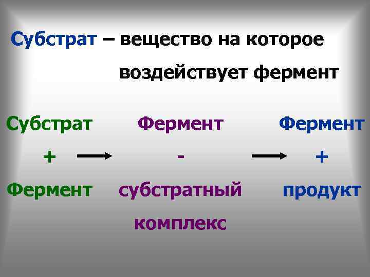 Субстрат – вещество на которое воздействует фермент Субстрат Фермент + - + Фермент субстратный