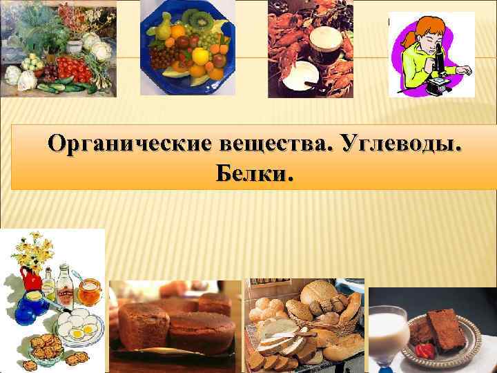 Органические вещества. Углеводы. Белки. 