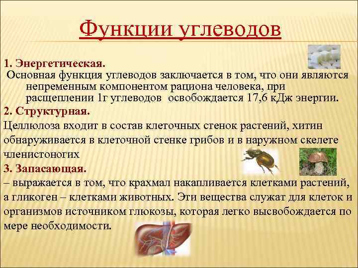 Функции углеводов 1. Энергетическая. Основная функция углеводов заключается в том, что они являются непременным
