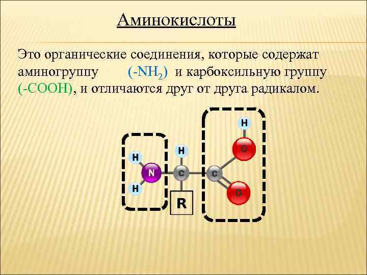 Аминокислоты Это органические соединения, которые содержат аминогруппу (-NH 2) и карбоксильную группу (-COOH), и