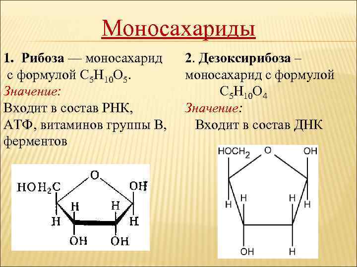 Моносахариды 1. Рибоза — моносахарид с формулой С 5 Н 10 О 5. Значение: