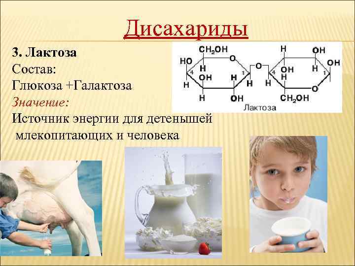 Дисахариды 3. Лактоза Состав: Глюкоза +Галактоза Значение: Источник энергии для детенышей млекопитающих и человека