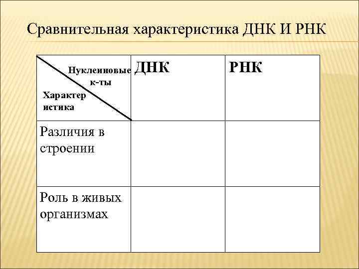 Сравнительная характеристика ДНК И РНК Нуклеиновые к-ты Характер истика Различия в строении Роль в