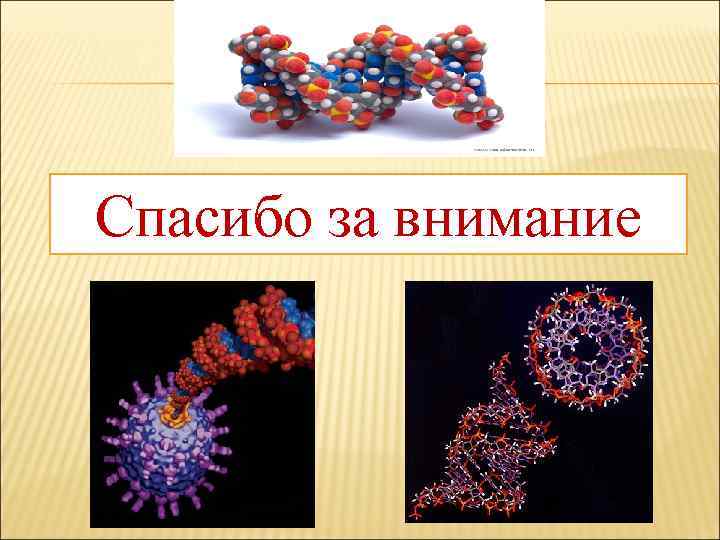 Органические вещества нуклеиновые кислоты. Нуклеиновые кислоты органические. Органические вещества белки нуклеиновые кислоты. Нуклеиновые кислоты фото для презентации.