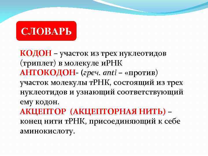 СЛОВАРЬ КОДОН – участок из трех нуклеотидов (триплет) в молекуле и. РНК АНТОКОДОН- (греч.