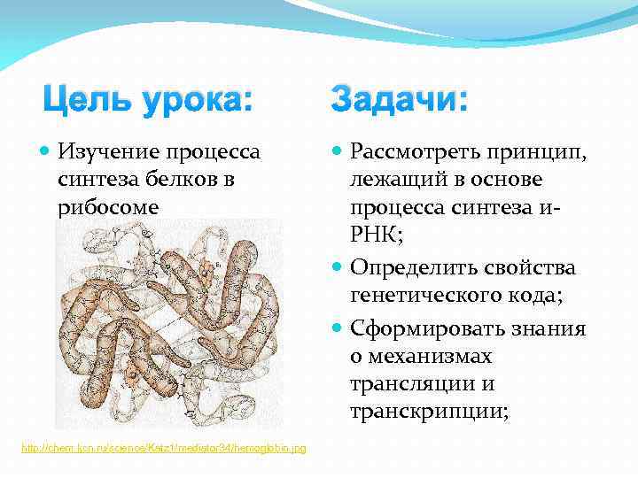 Цель урока: Задачи: Изучение процесса синтеза белков в рибосоме Рассмотреть принцип, лежащий в основе