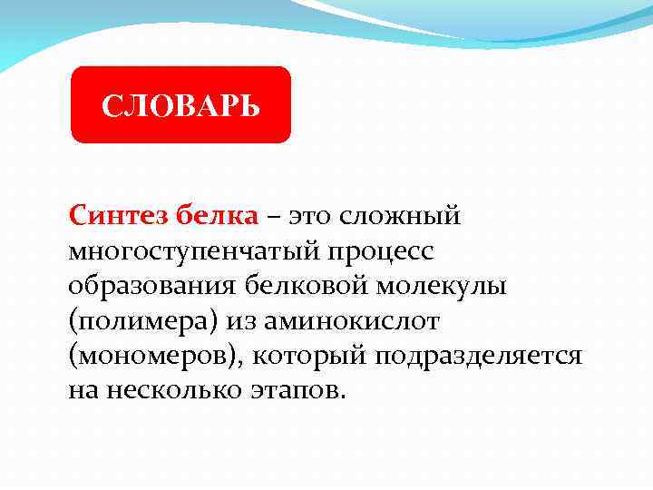 СЛОВАРЬ Синтез белка – это сложный многоступенчатый процесс образования белковой молекулы (полимера) из аминокислот