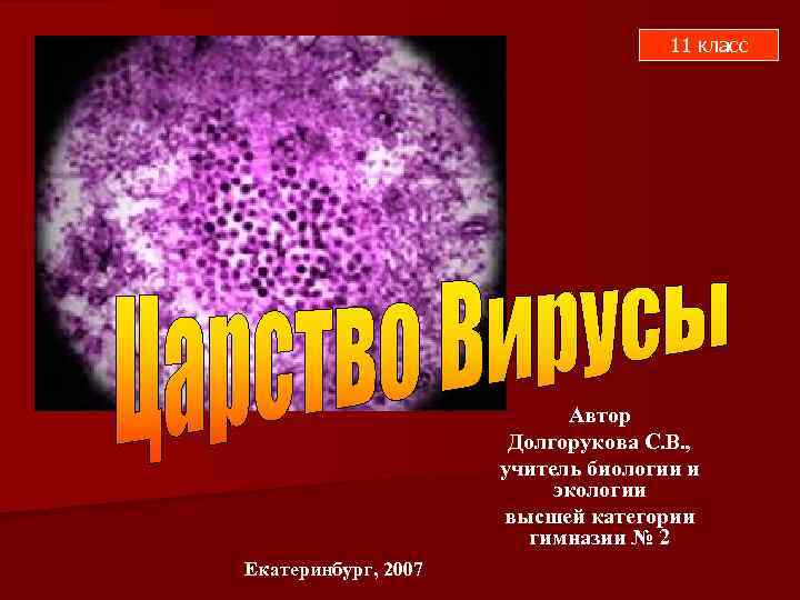 11 класс Автор Долгорукова С. В. , учитель биологии и экологии высшей категории гимназии