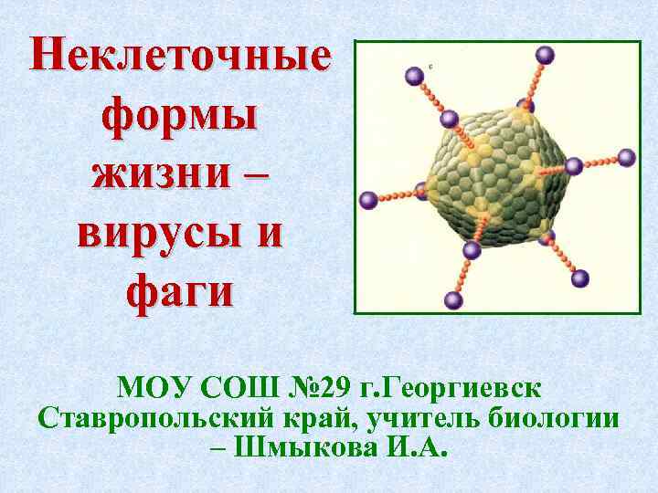 Неклеточные формы жизни – вирусы и фаги МОУ СОШ № 29 г. Георгиевск Ставропольский