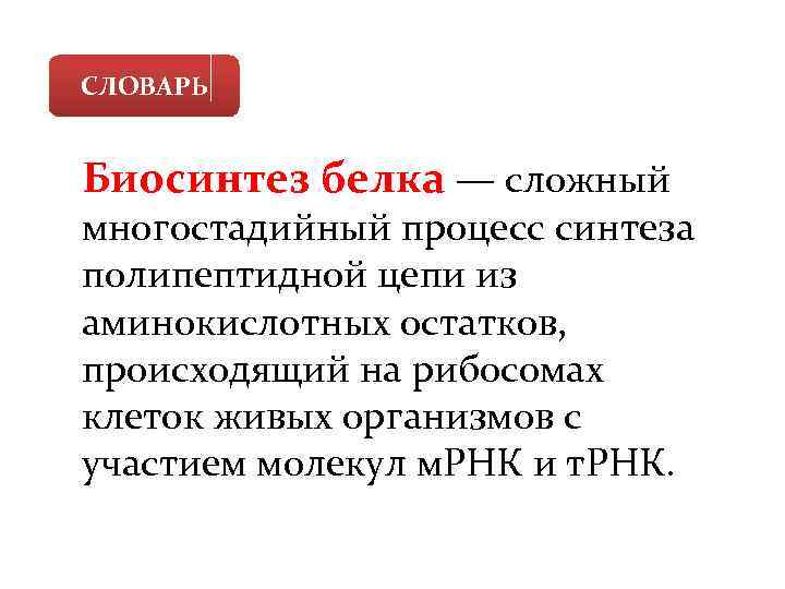 СЛОВАРЬ Биосинтез белка — сложный многостадийный процесс синтеза полипептидной цепи из аминокислотных остатков, происходящий