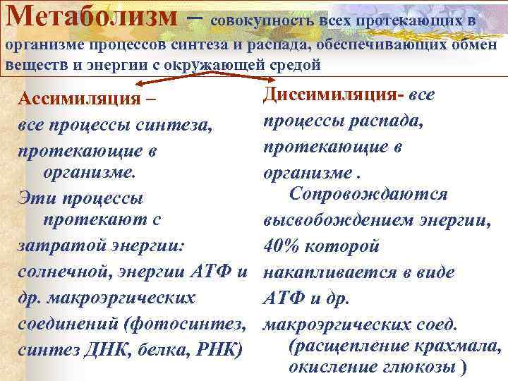 Метаболизм – совокупность всех протекающих в организме процессов синтеза и распада, обеспечивающих обмен веществ