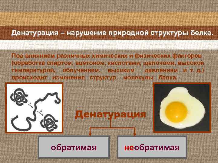 Денатурация – нарушение природной структуры белка. Под влиянием различных химических и физических факторов (обработка