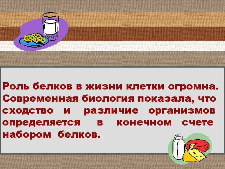Роль белков в жизни клетки огромна. Современная биология показала, что сходство и различие организмов