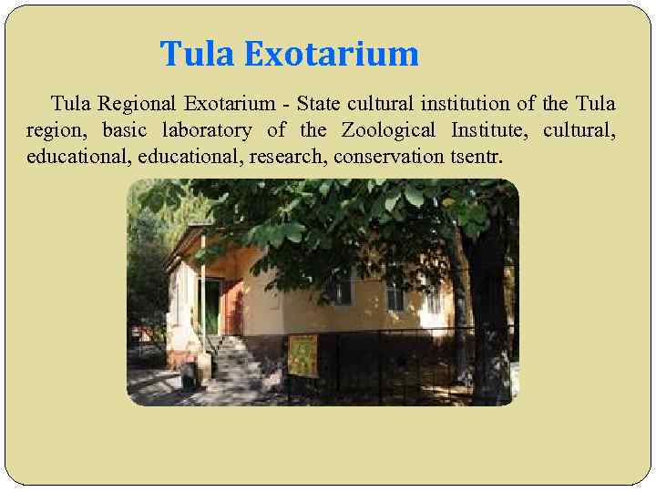 Tula Exotarium Tula Regional Exotarium - State cultural institution of the Tula region, basic