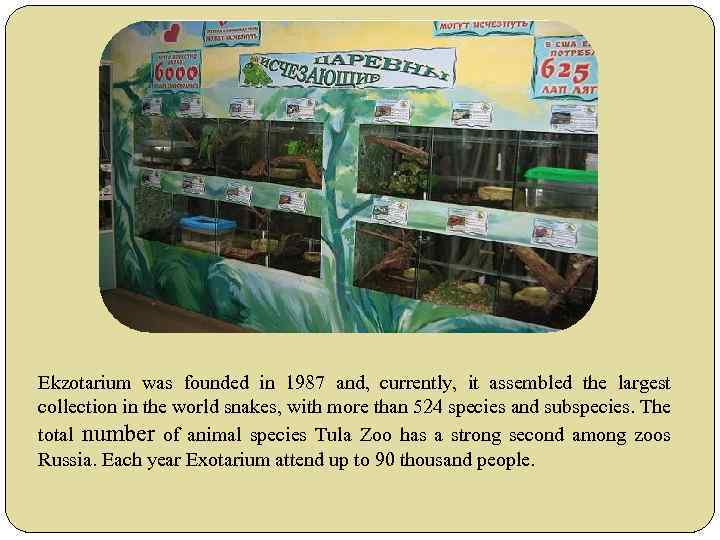 Ekzotarium was founded in 1987 and, currently, it assembled the largest collection in the