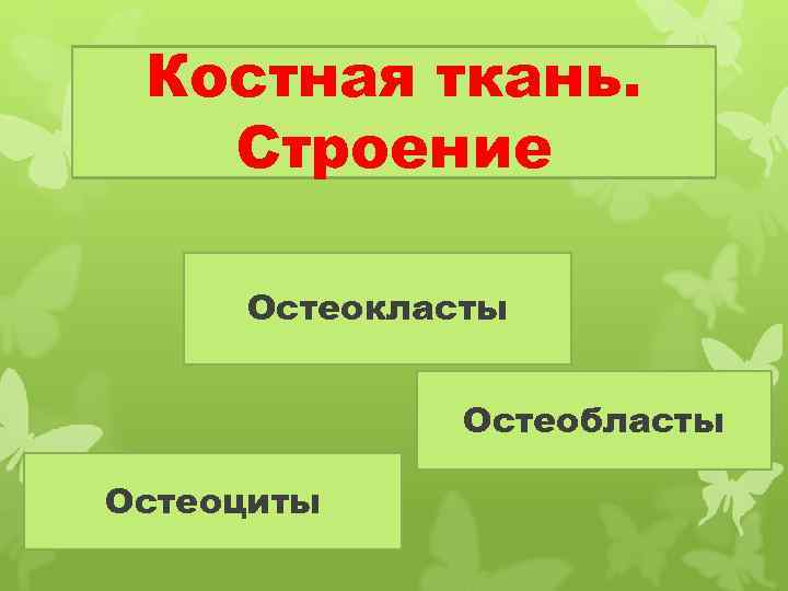 Костная ткань. Строение Остеокласты Остеобласты Остеоциты 