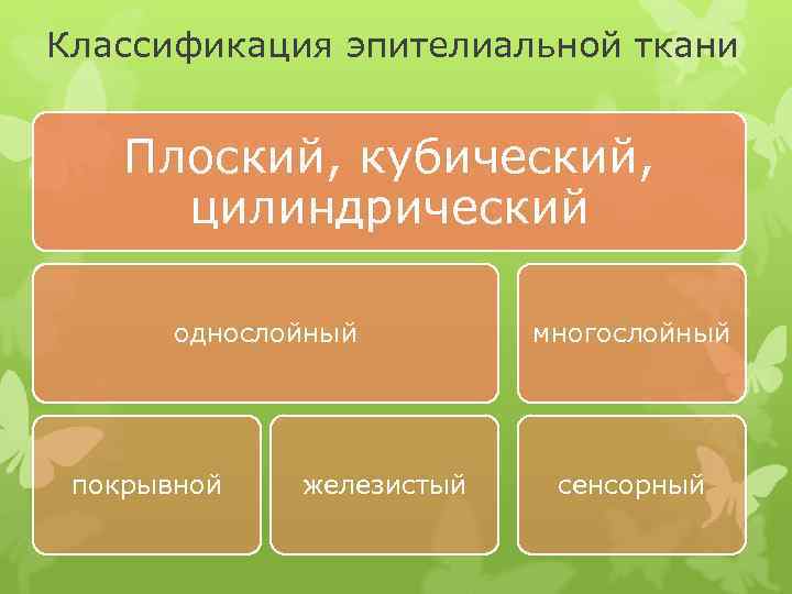Классификация эпителиальной ткани Плоский, кубический, цилиндрический однослойный покрывной железистый многослойный сенсорный 
