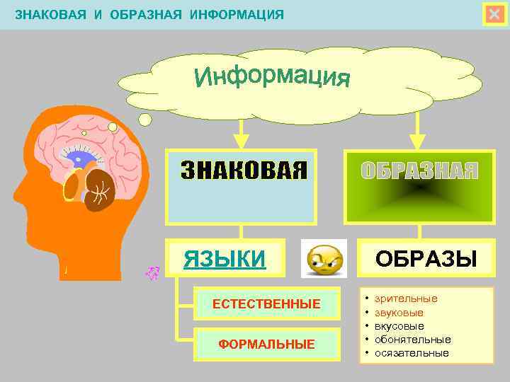  ЗНАКОВАЯ И ОБРАЗНАЯ ИНФОРМАЦИЯ ЯЗЫКИ ЕСТЕСТВЕННЫЕ ФОРМАЛЬНЫЕ ОБРАЗЫ • • • зрительные звуковые