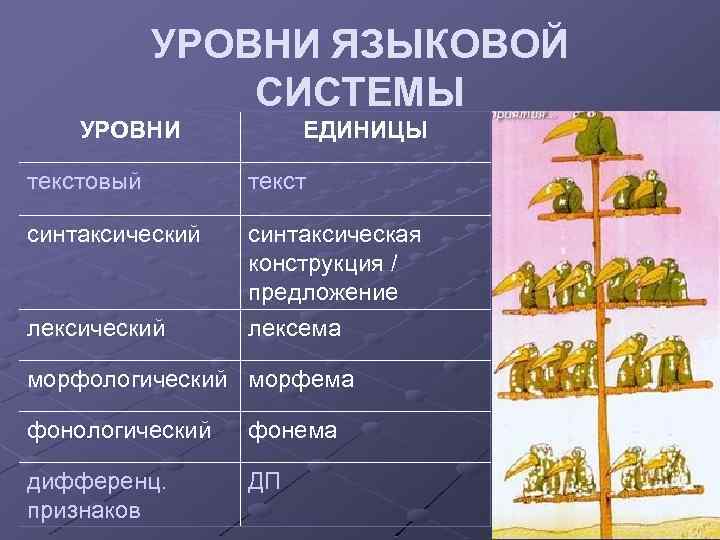 Уровни языковой системы